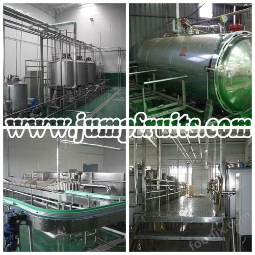 直銷特色優(yōu)質(zhì)果酒設(shè)備與生產(chǎn)線價(jià)格解析及水處理設(shè)備研發(fā)